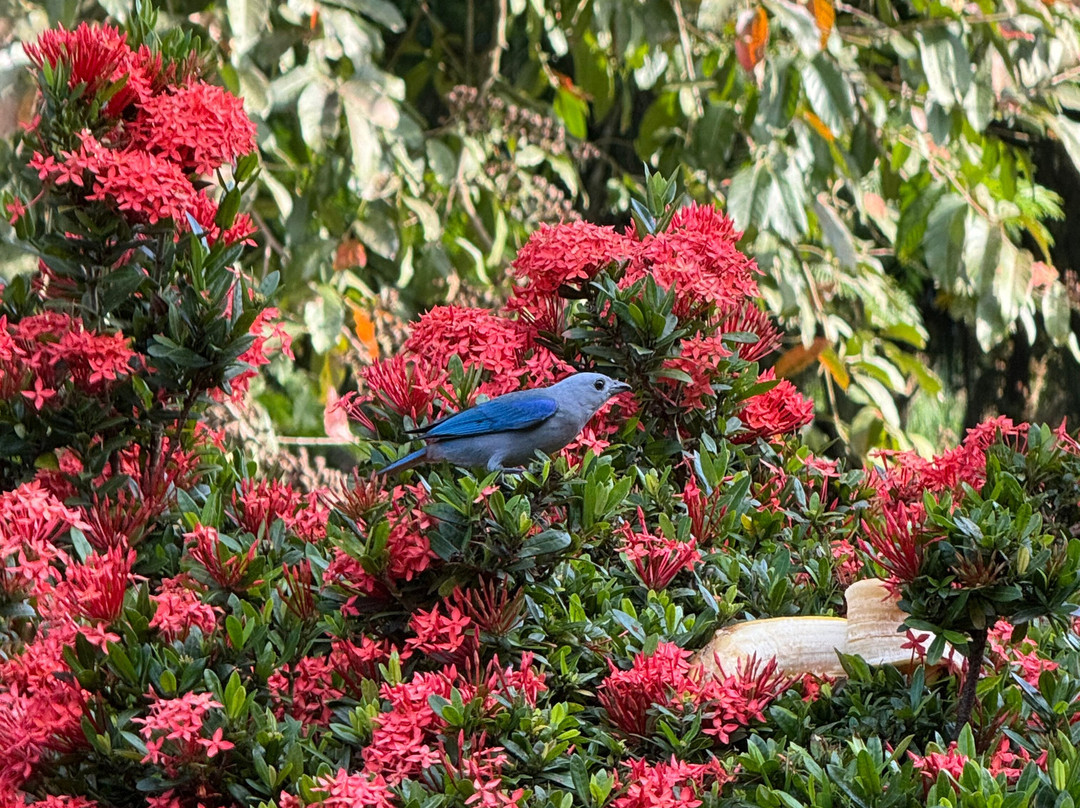 Tilajari Hotel Resort and Conference Center主图