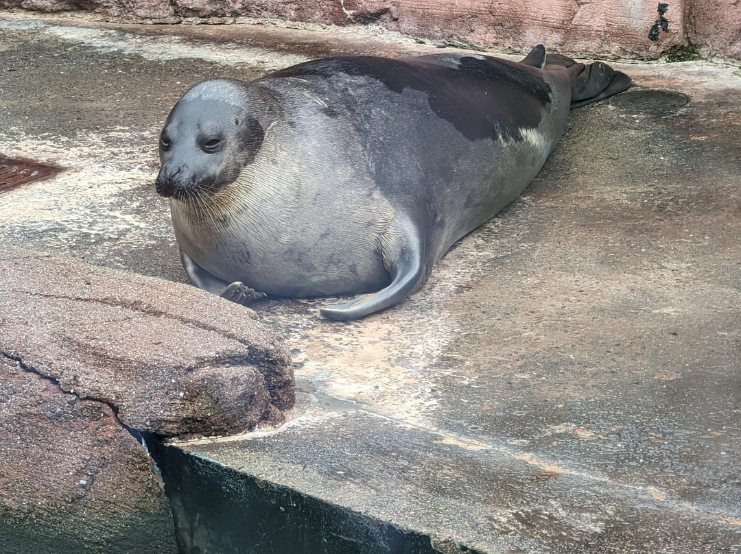 Huntsman Fundy Discovery Aquarium-Saint Andrews必去景点