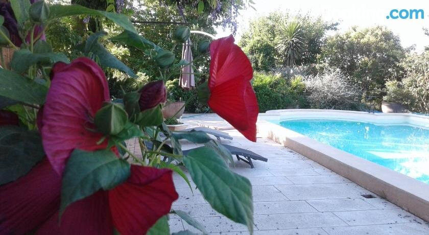 Michele et Didier Lin主图