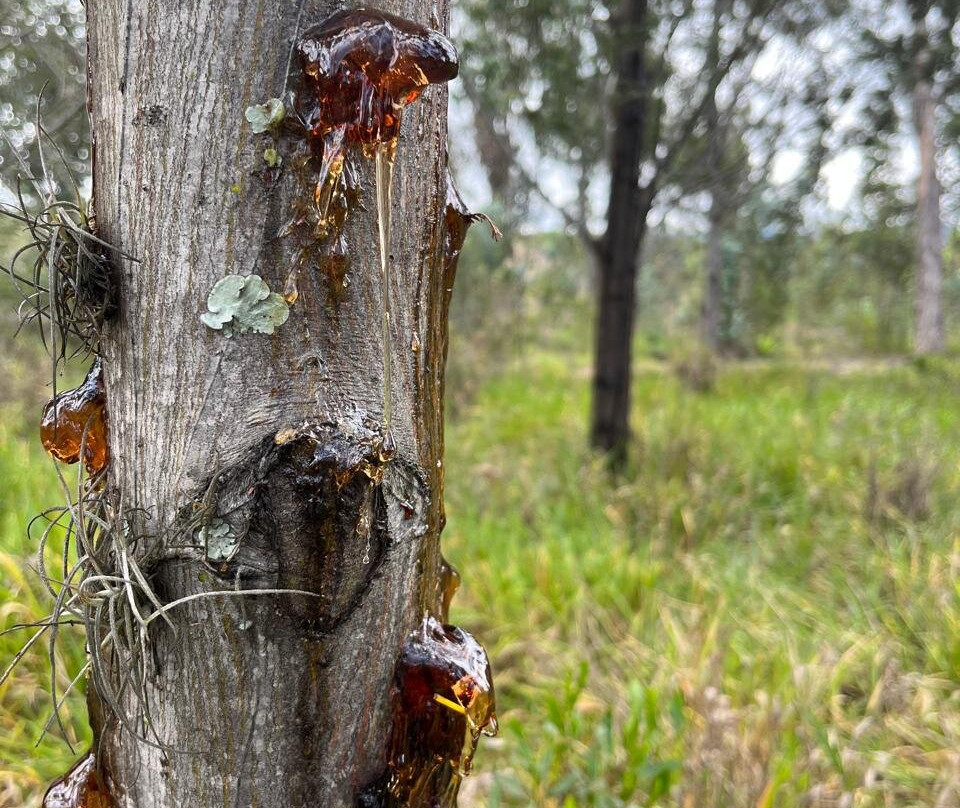 Pozos Azules-莱瓦镇必去景点