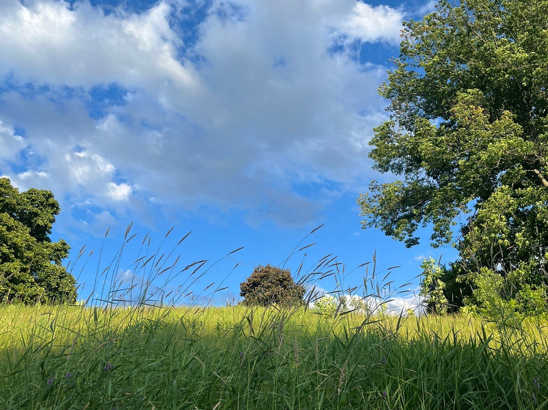 Lockwood Hotel主图