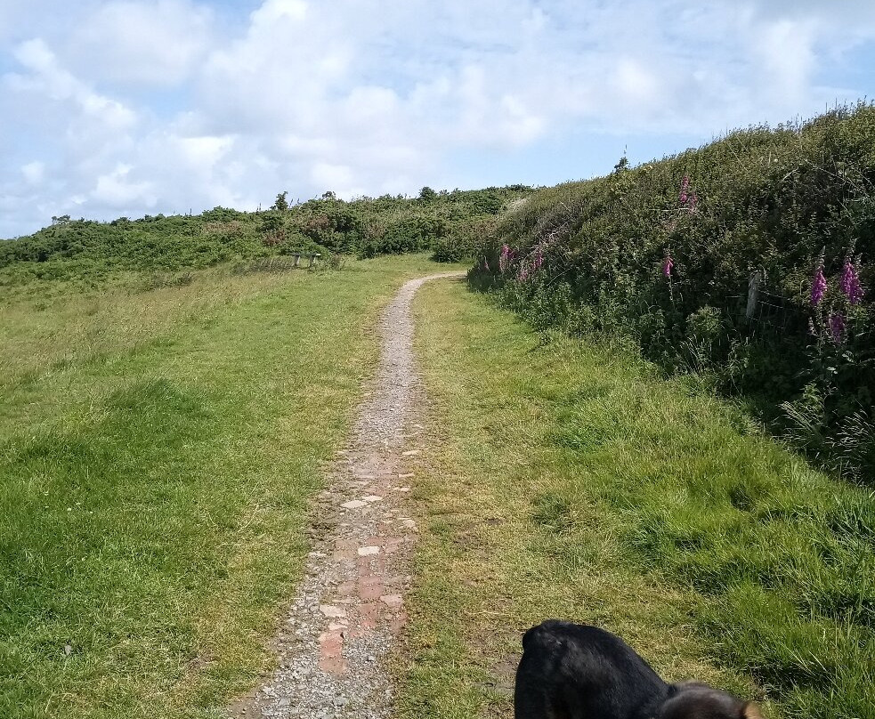South West Coast Path Walk - Ilfracombe and the Torrs-伊尔弗勒科姆必去景点