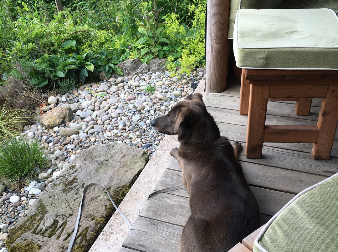 潘益典雅芙蓉玉女乡村酒店主图