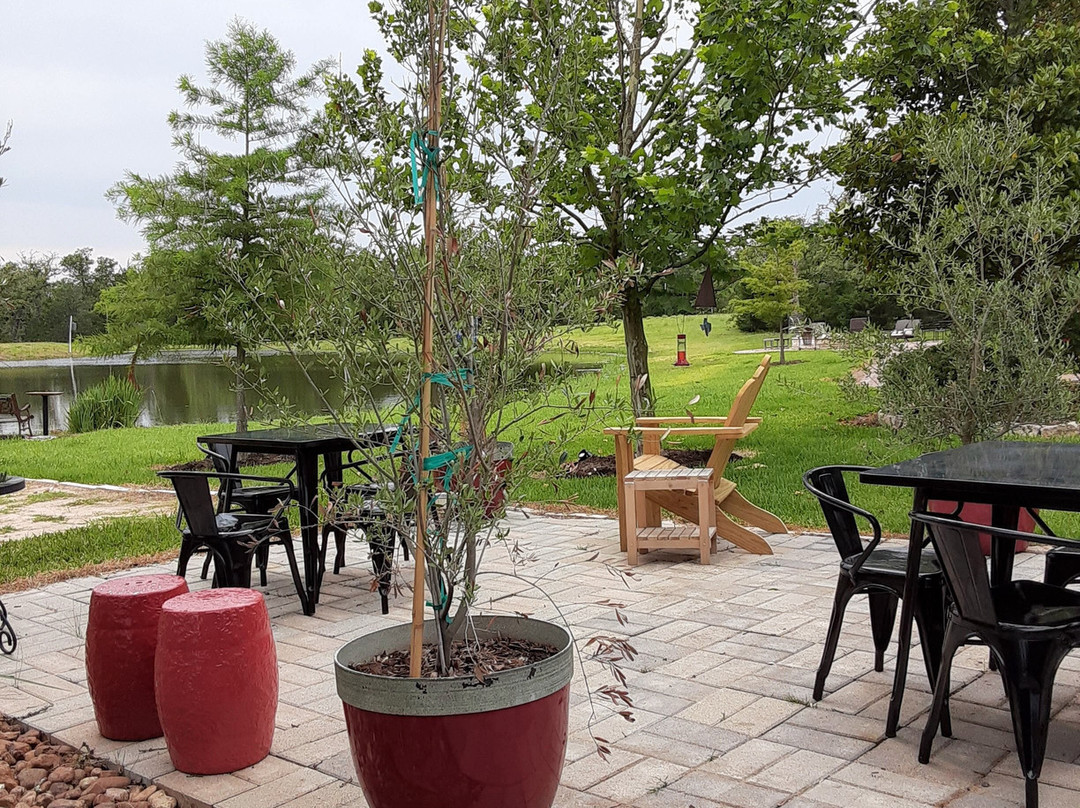 Busted Oak Cellars-Carmine必去景点