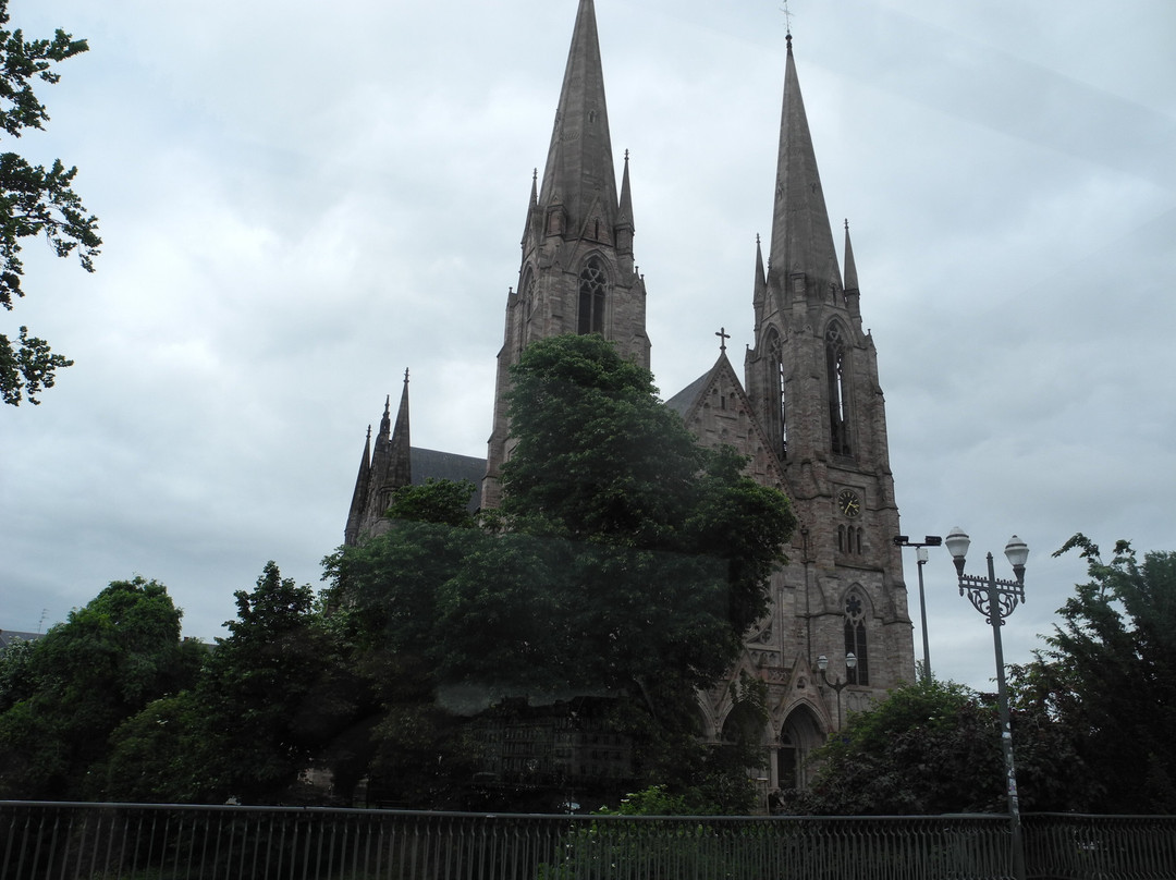 Petit Train Touristique de Strasbourg景点图片