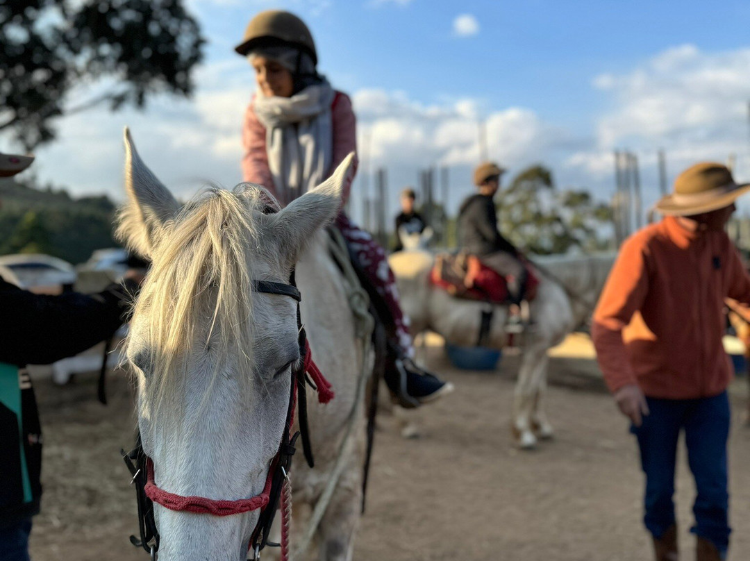 Haras Encanto Horse-蒙特贝尔德必去景点