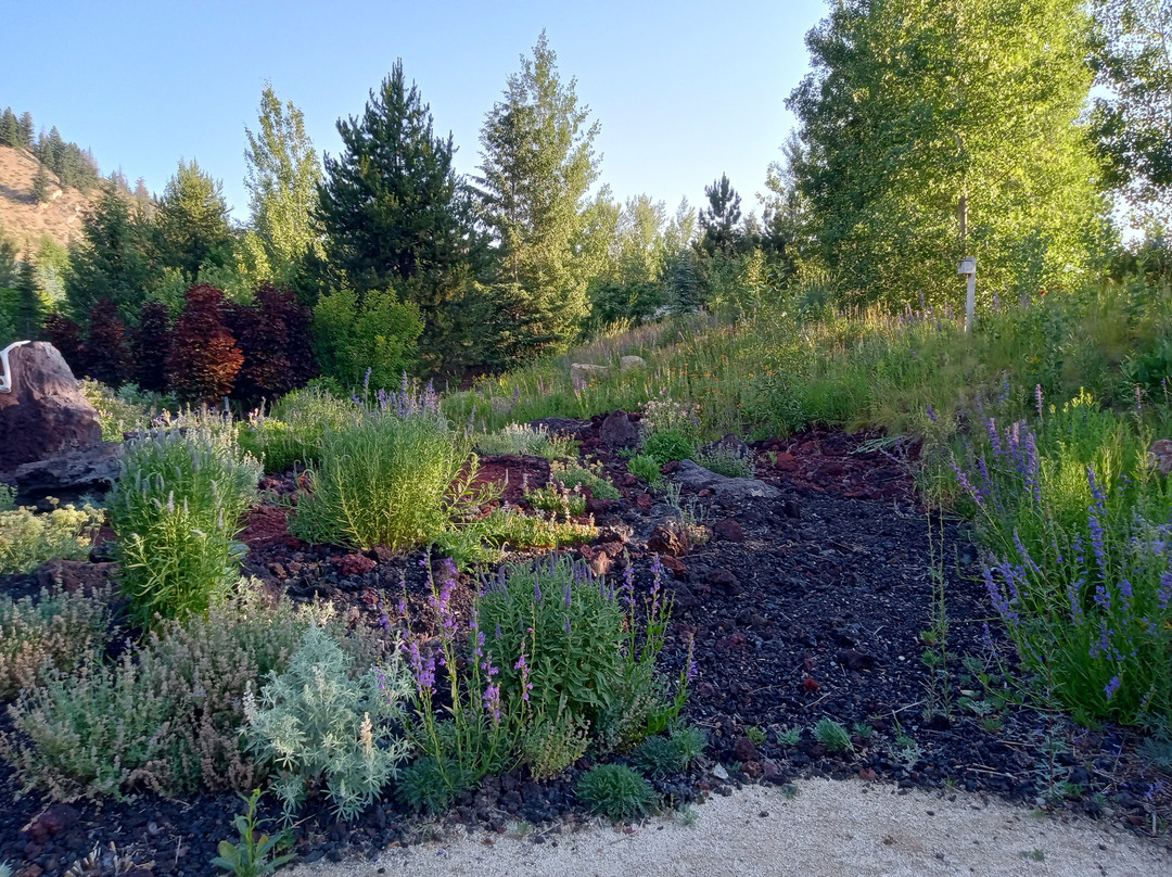 Sawtooth Botanical Garden-Ketchum必去景点