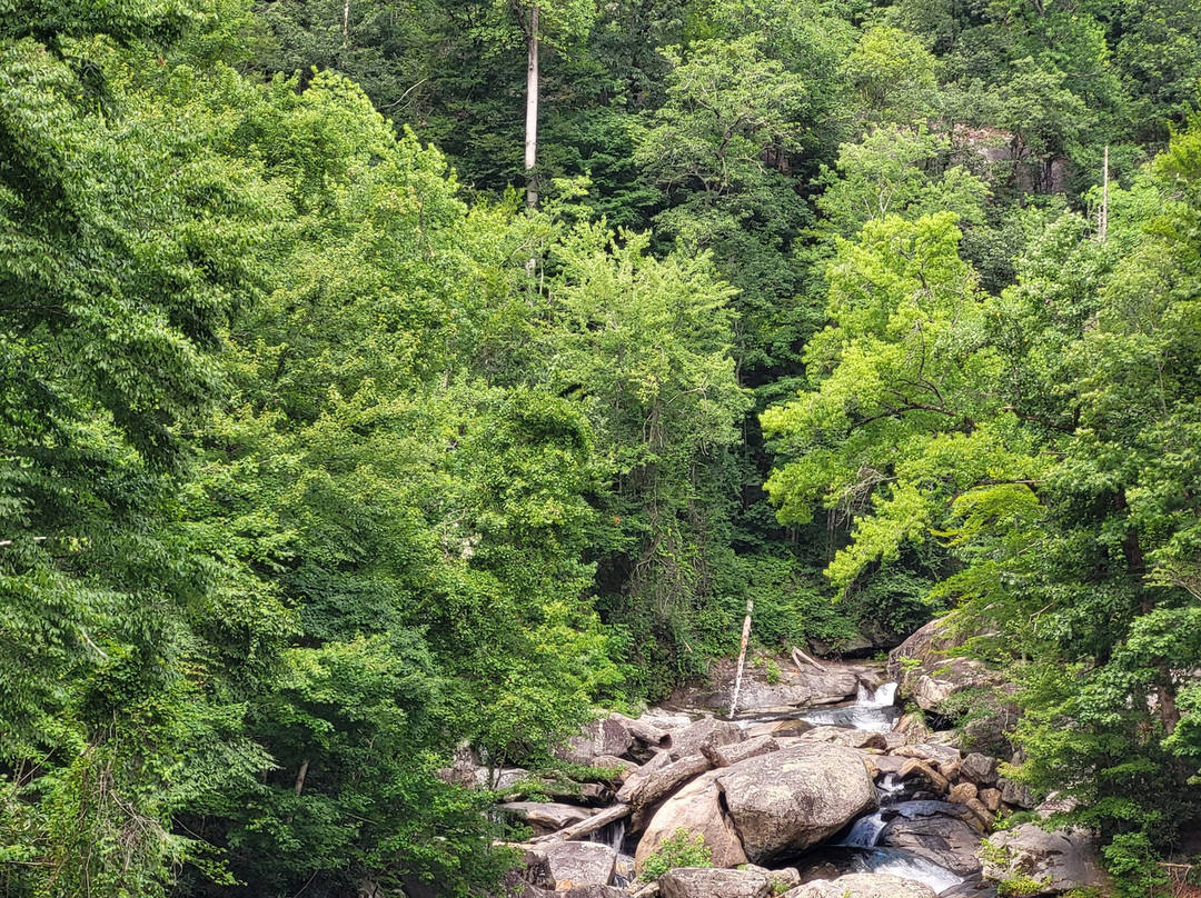 Jocassee Keowee Rentals景点图片