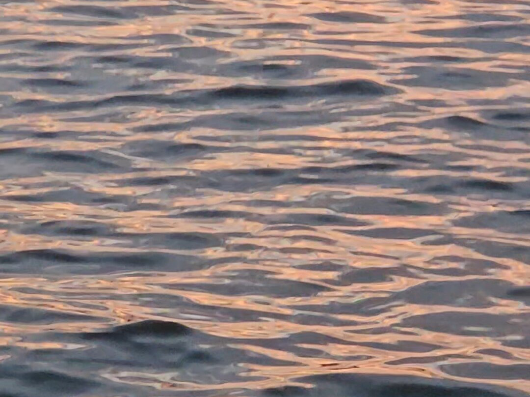 Beach Road Watersports-恩格尔伍德必去景点