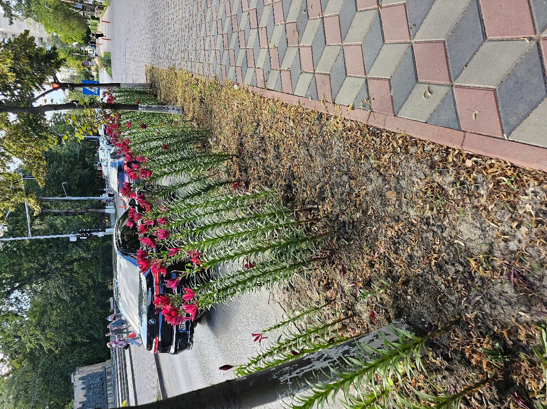 丽城酒店主图