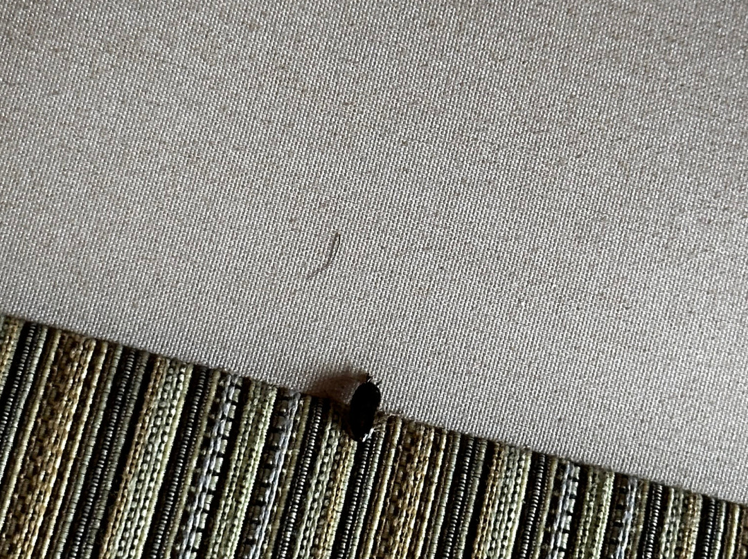 The Crossroads Motel主图