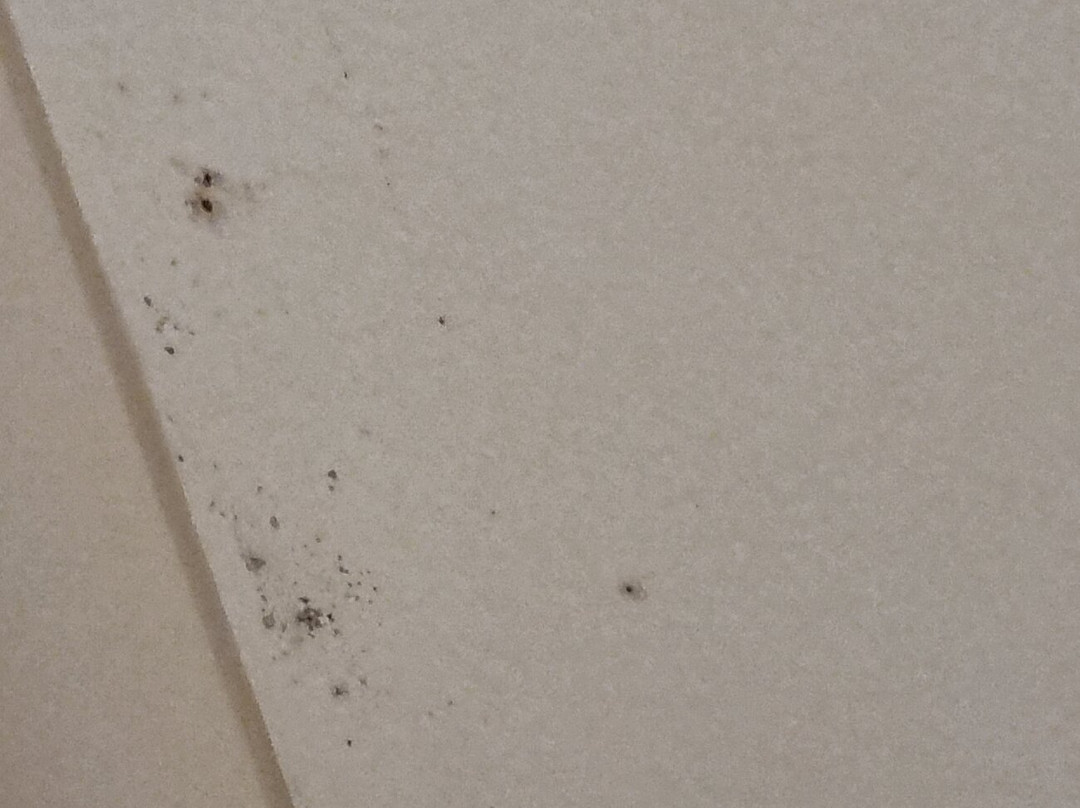 The Lawson Riverside Suites主图