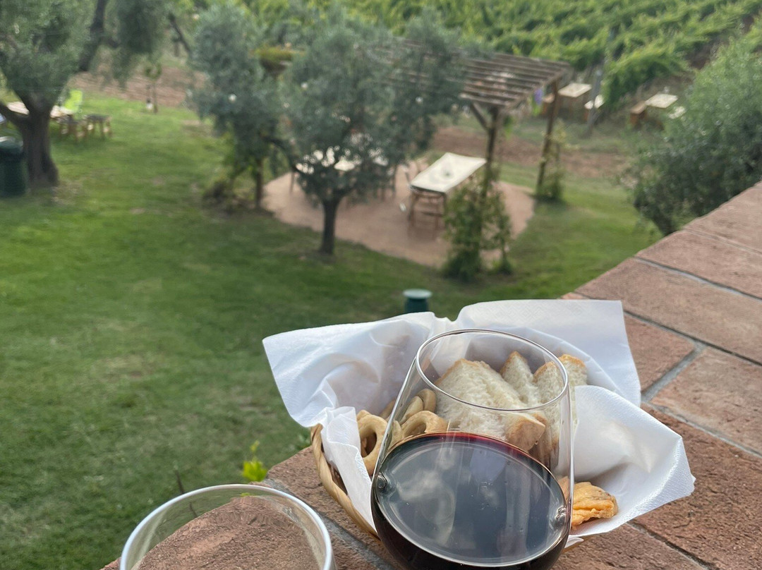 Lq - Le Querce - Wine Tasting景点图片