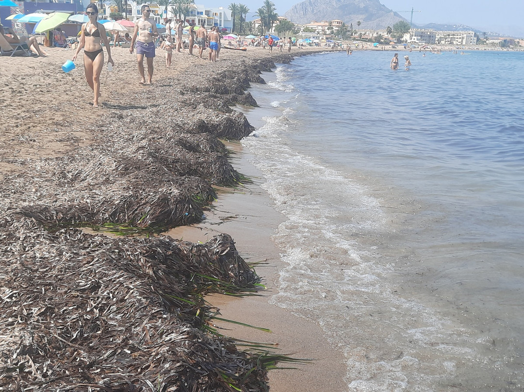 Playa Els Molins景点图片