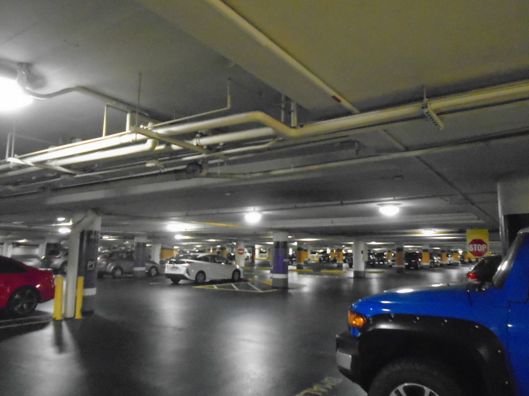 Metropolis At Metrotown-本那比必去景点