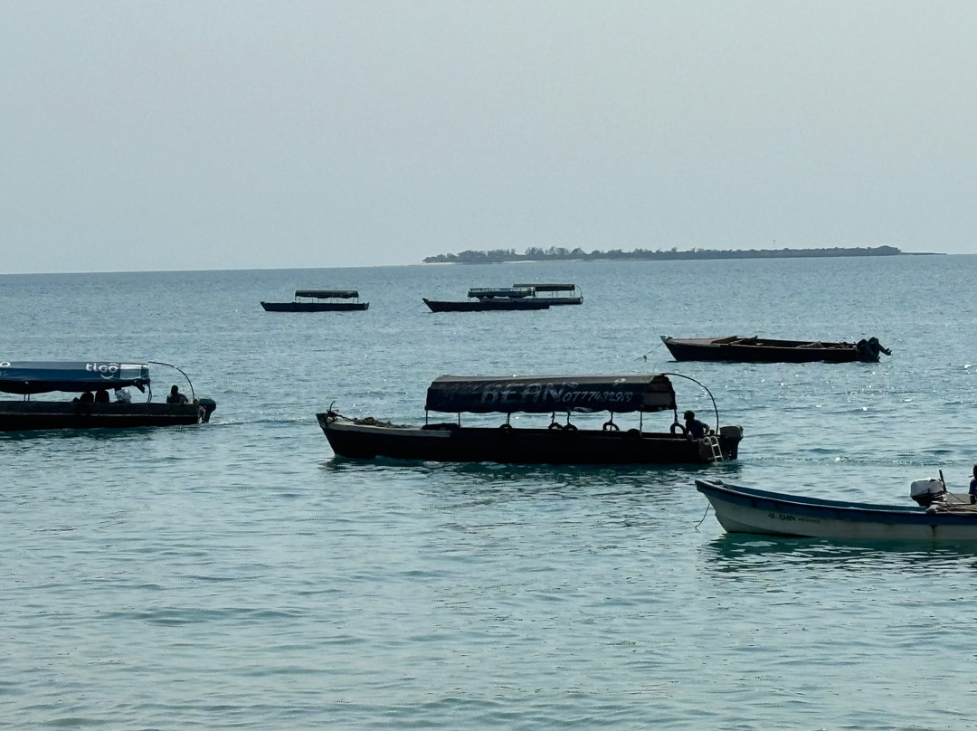 Zan Oasis Tour and Safaris-桑给巴尔岛必去景点