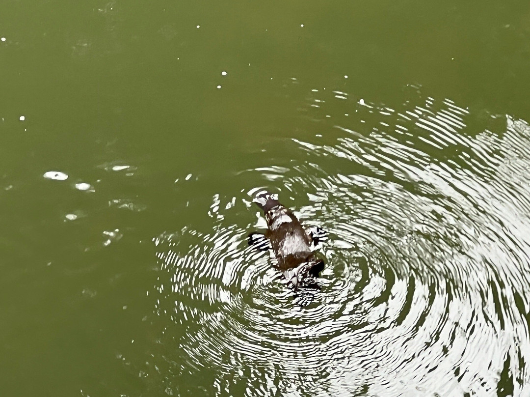 Broken River Mountain Resort主图