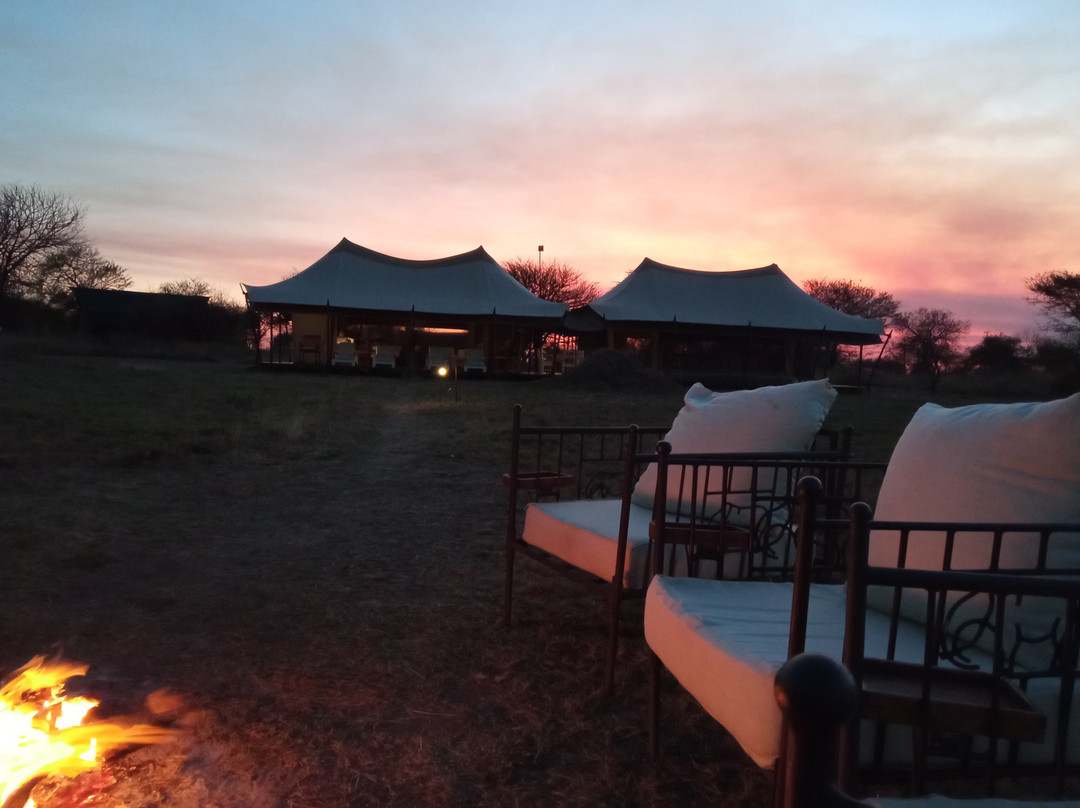 Intimate Camp Seronera