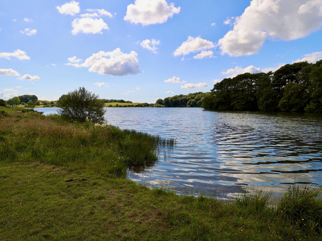 Talkin Tarn Park-卡莱尔必去景点