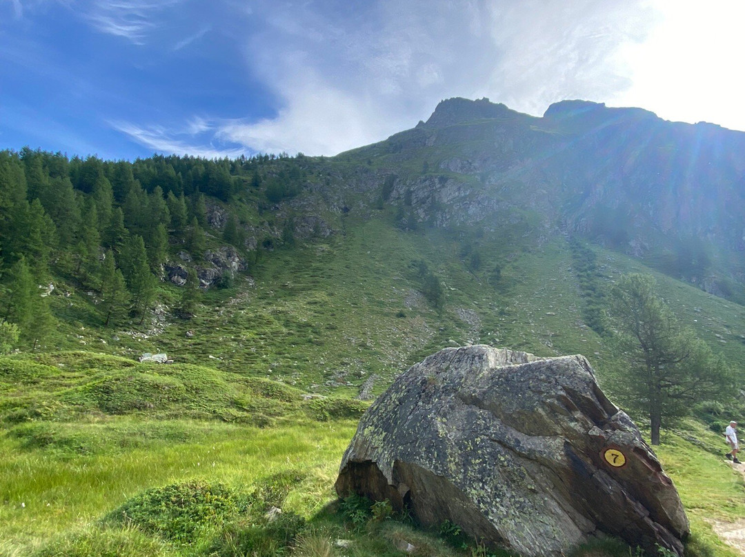Sorgenti del Lys景点图片