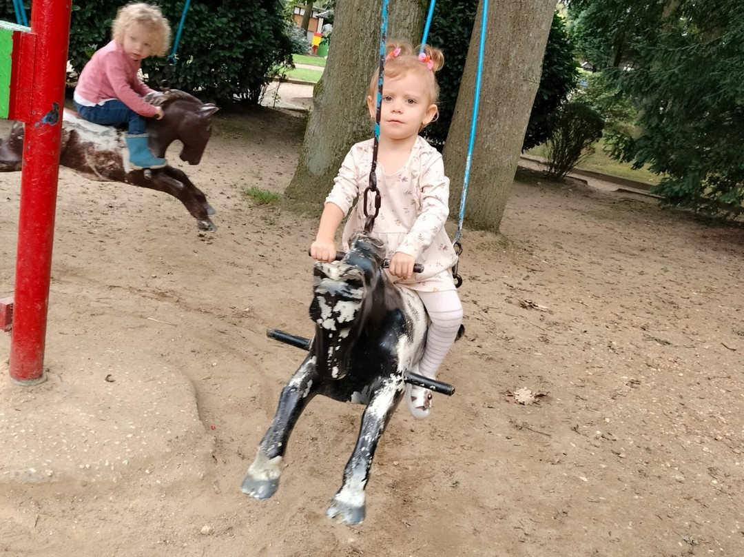 Natur- und Tierpark Brüggen景点图片
