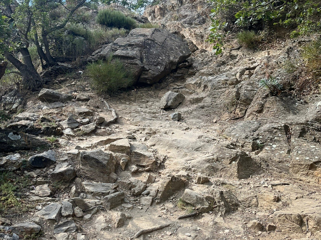 Gorges de Carança景点图片