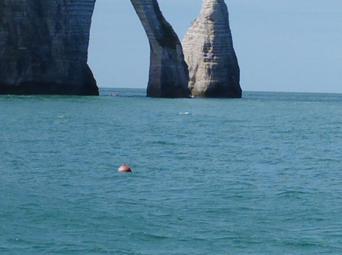 Au Gré Des Vents - Sorties En Mer Sur Vieux Gréements-费康必去景点