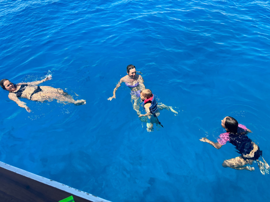 Pirate Boat Trips-赫尔格达必去景点