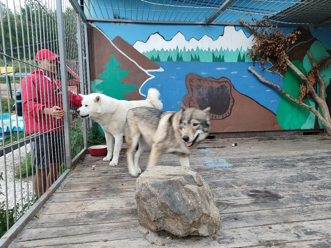 Siberian Zoo景点图片