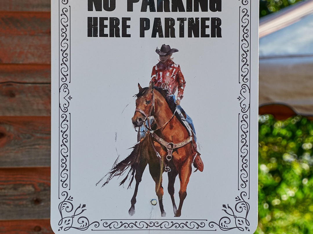 World's Largest Buffalo-Jamestown必去景点