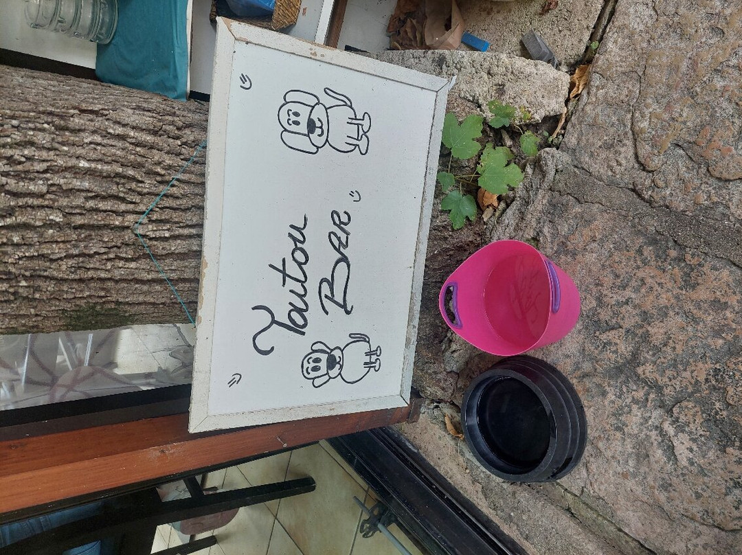 Auberge de la Cascade主图
