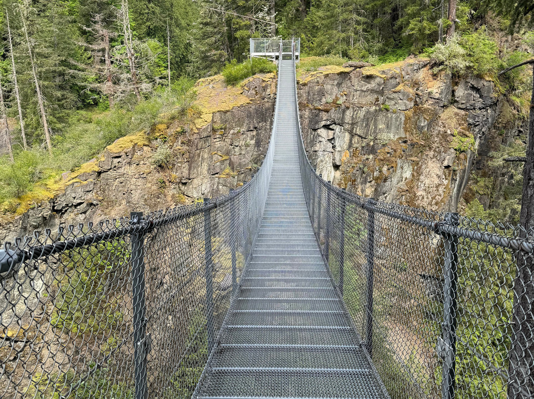 Elk Falls Suspension Bridge景点图片