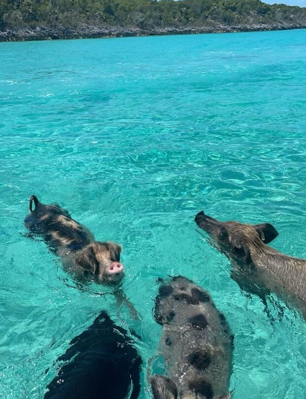 Aquadisiac Adventures-大埃克苏马必去景点