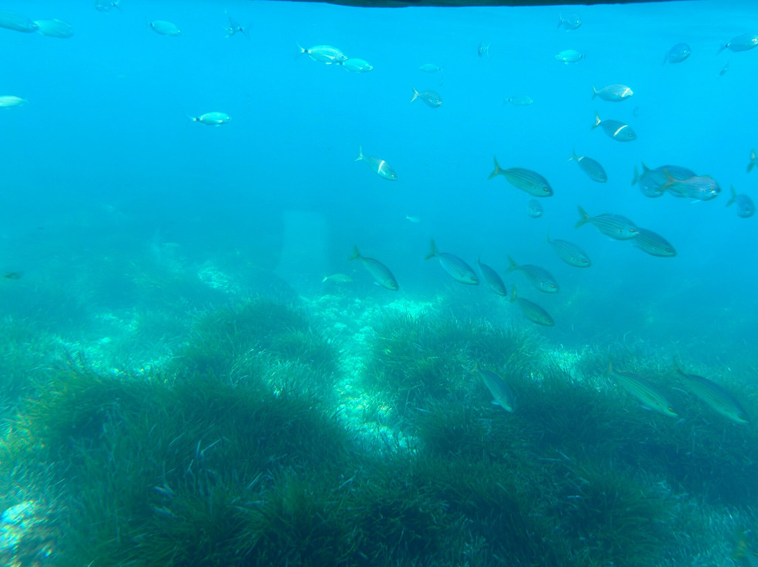 AQUAVISION-Six-Fours-les-Plages必去景点