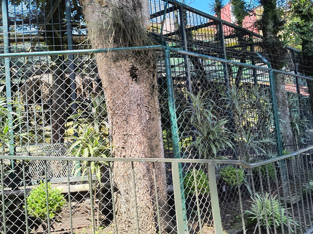 Ecoparque Rio景点图片