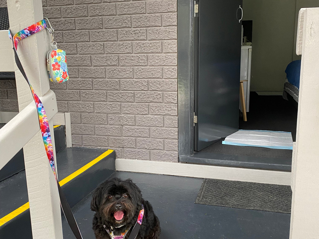 The Jabiru Motel主图