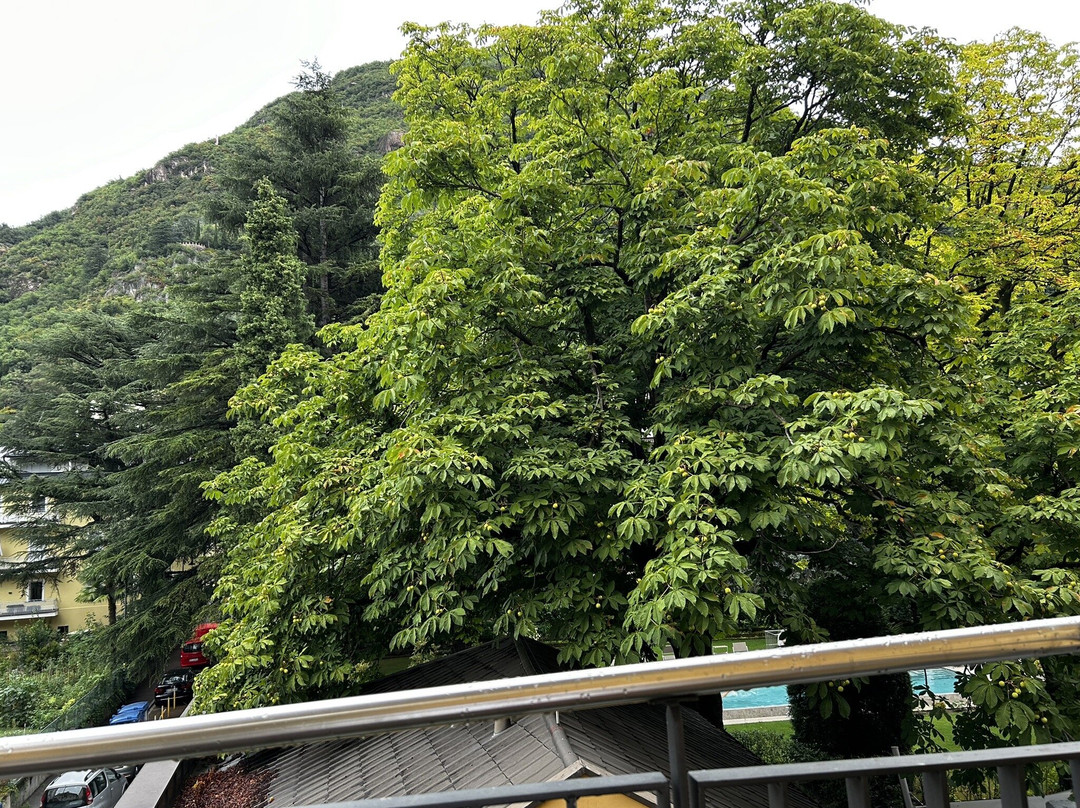 Scala Stiegl Hotel主图