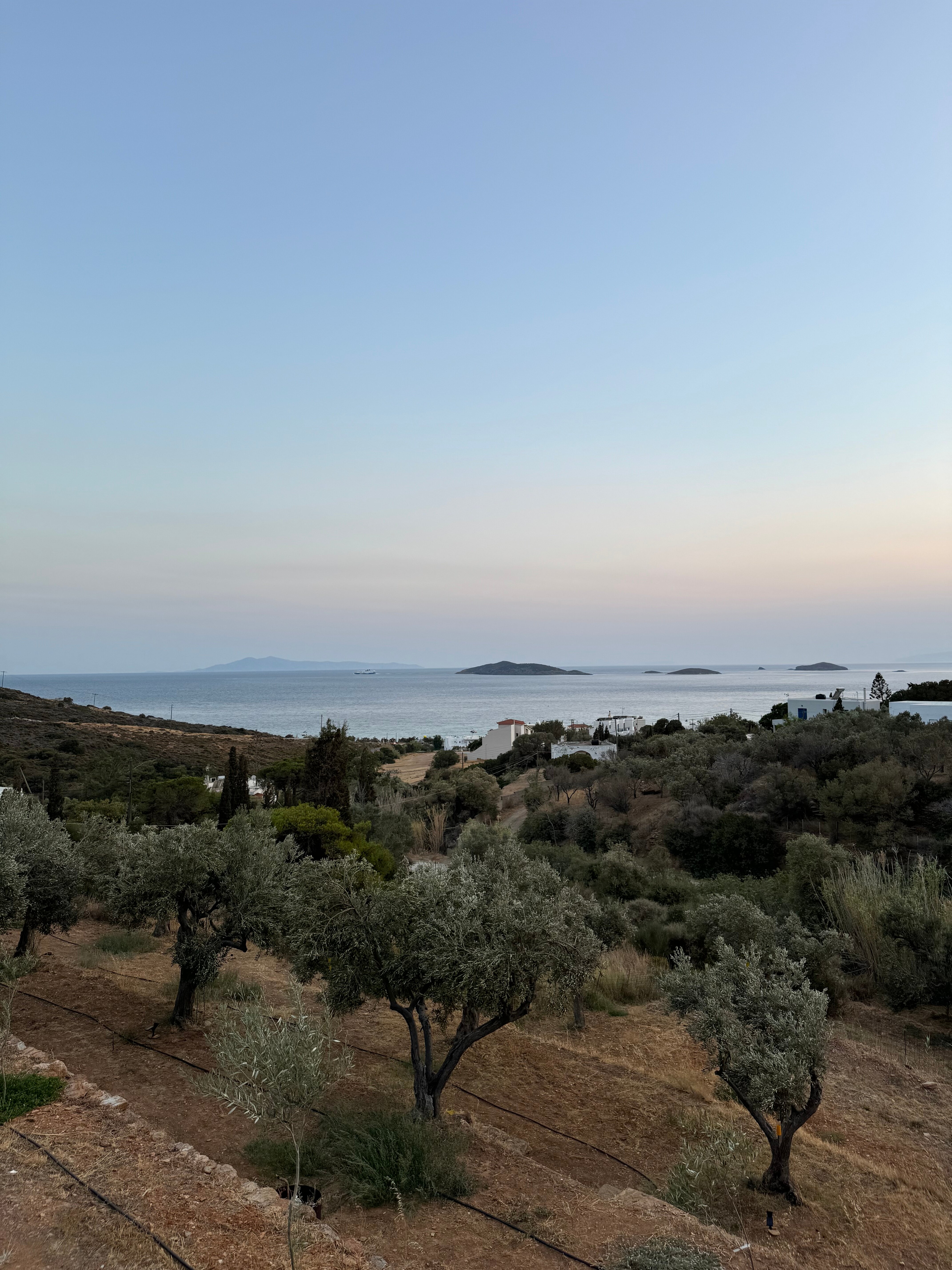 Elia Privileged Suites-官方