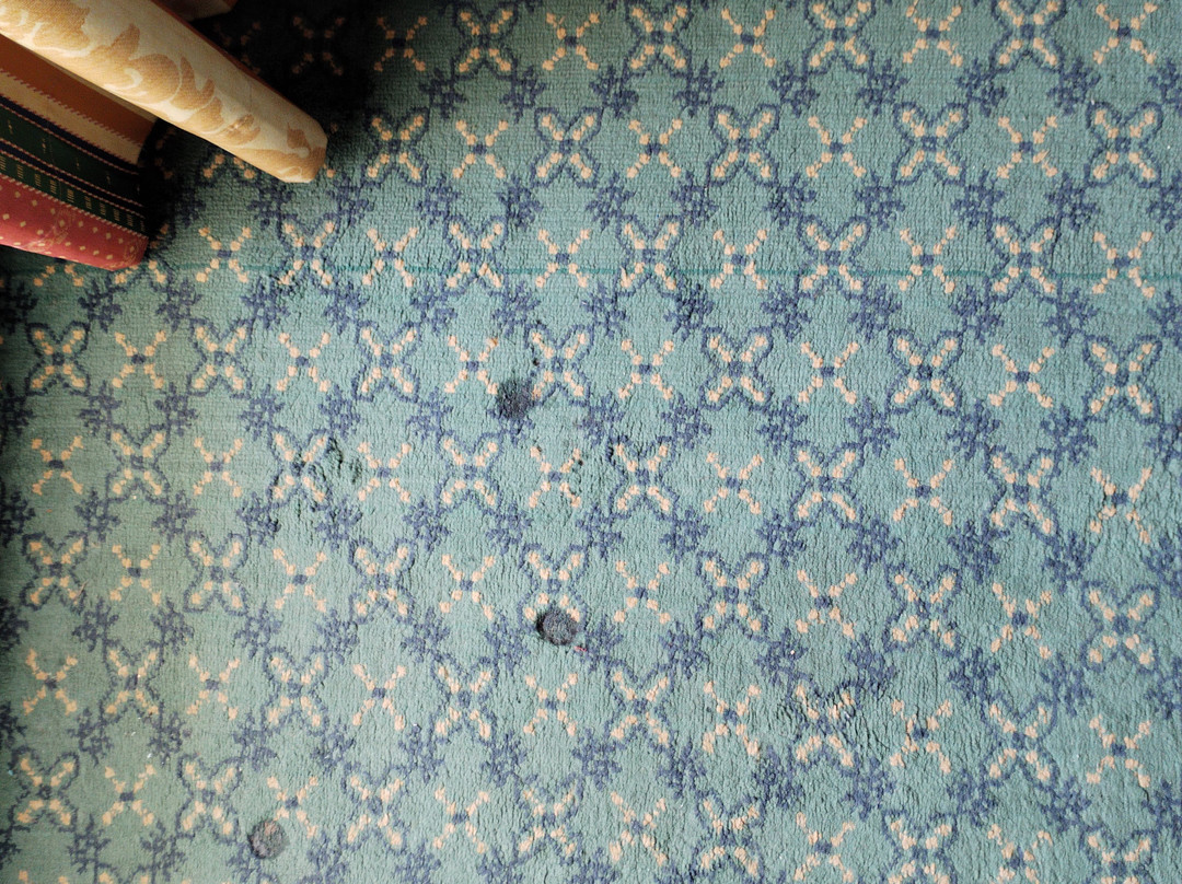 El Mouradi Skanes主图