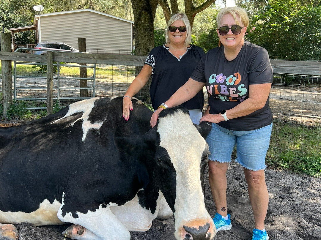 Rooterville Animal Sanctuary-Melrose必去景点