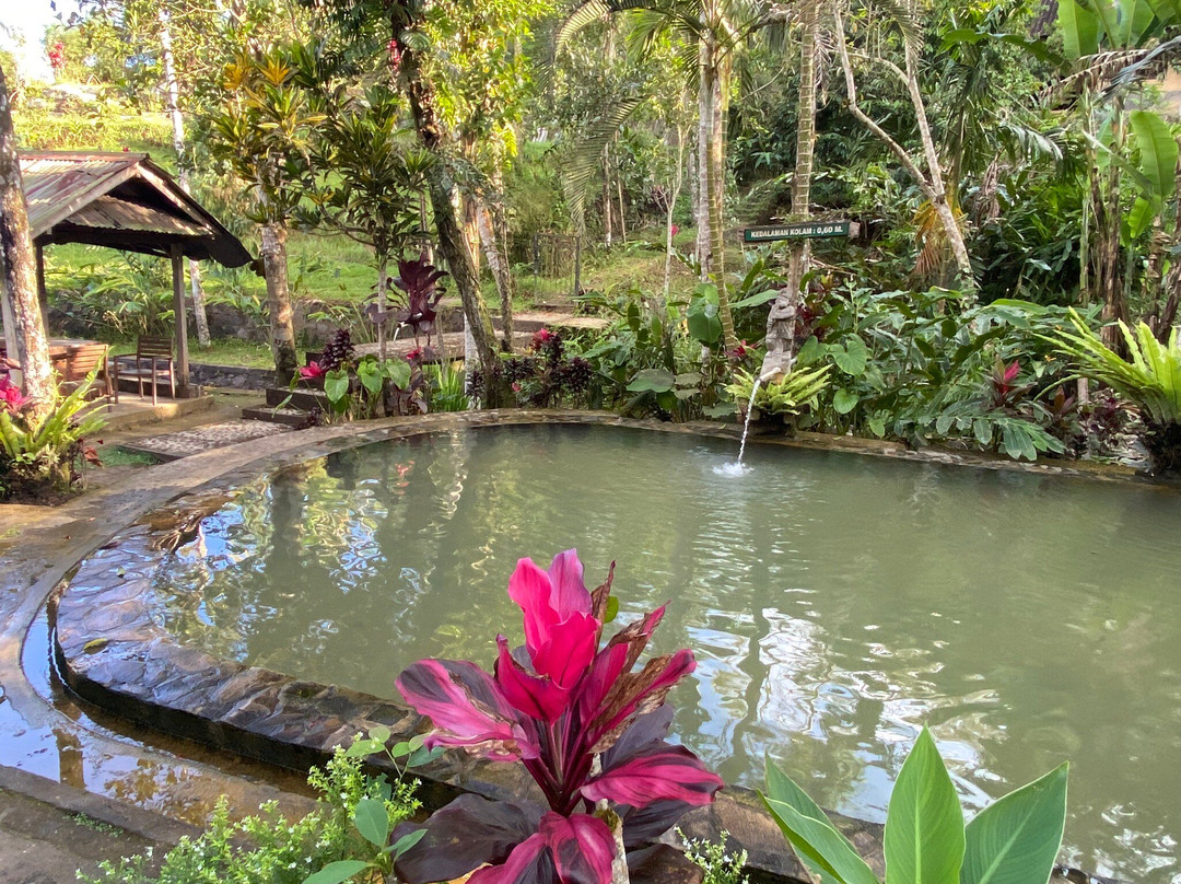 BAMBOO FOREST SANDAN-Angsri必去景点