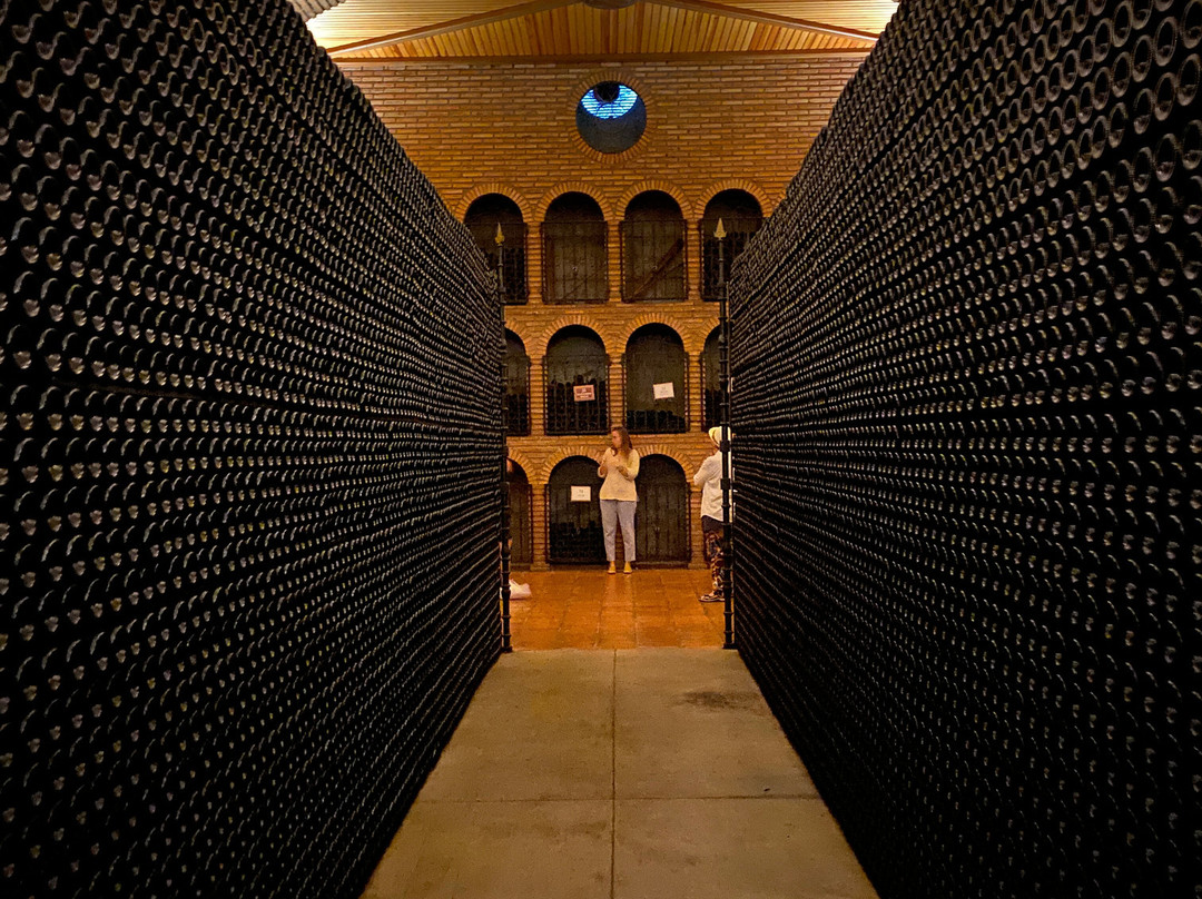 Bodegas Campillo景点图片