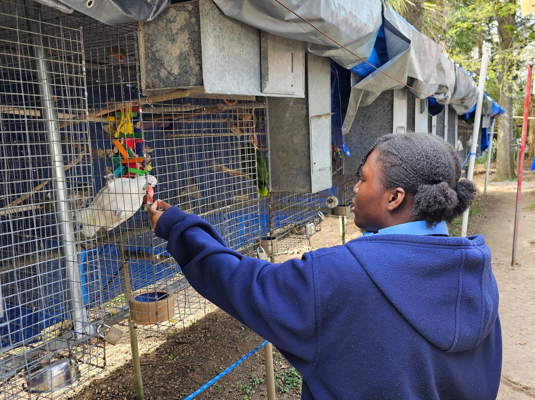 Uncle Sandy's Macaw Bird Park景点图片