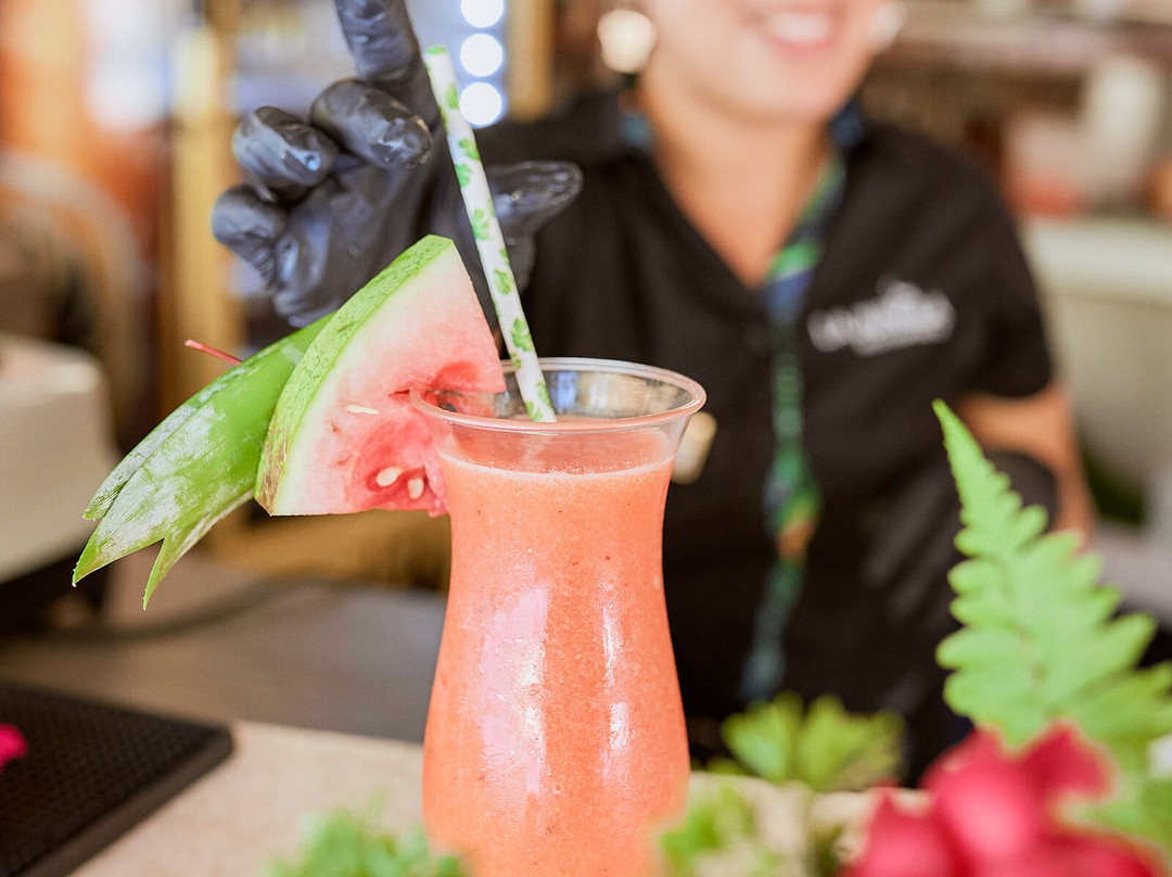 Cariblue Beach & Jungle Resort主图