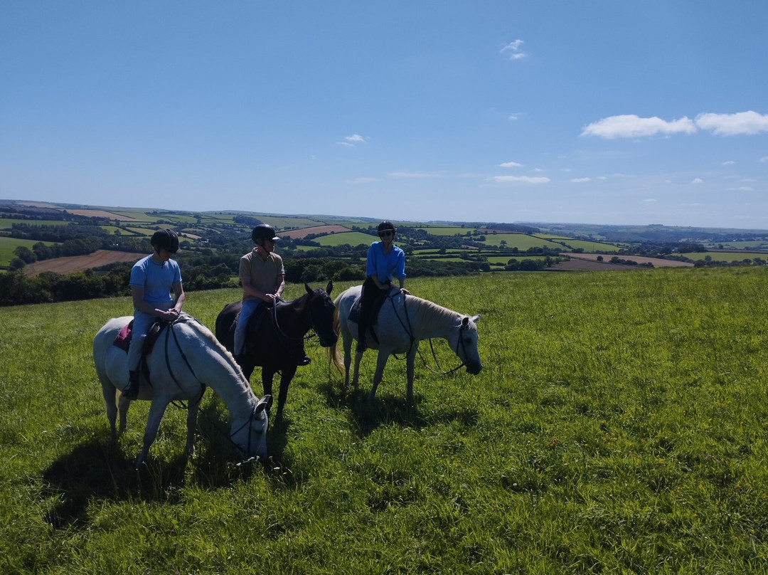 Polmartin Riding Equestrian Site景点图片
