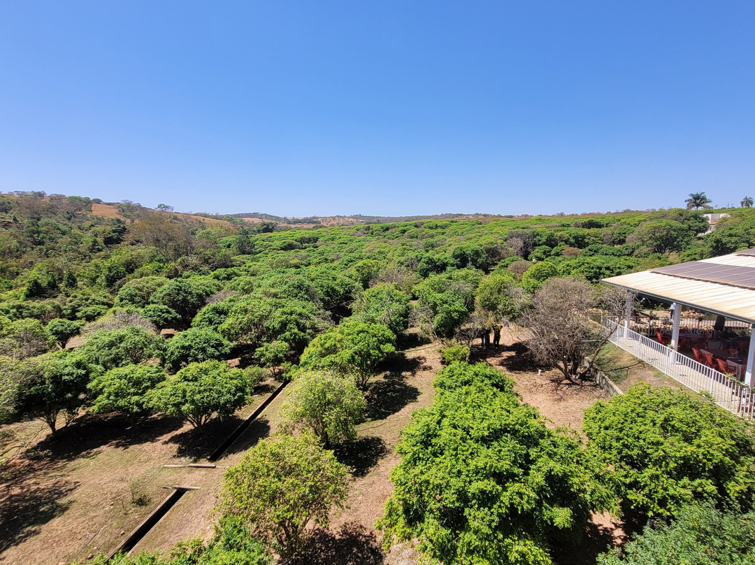 Vinicola Jabuticabal-Hidrolandia必去景点