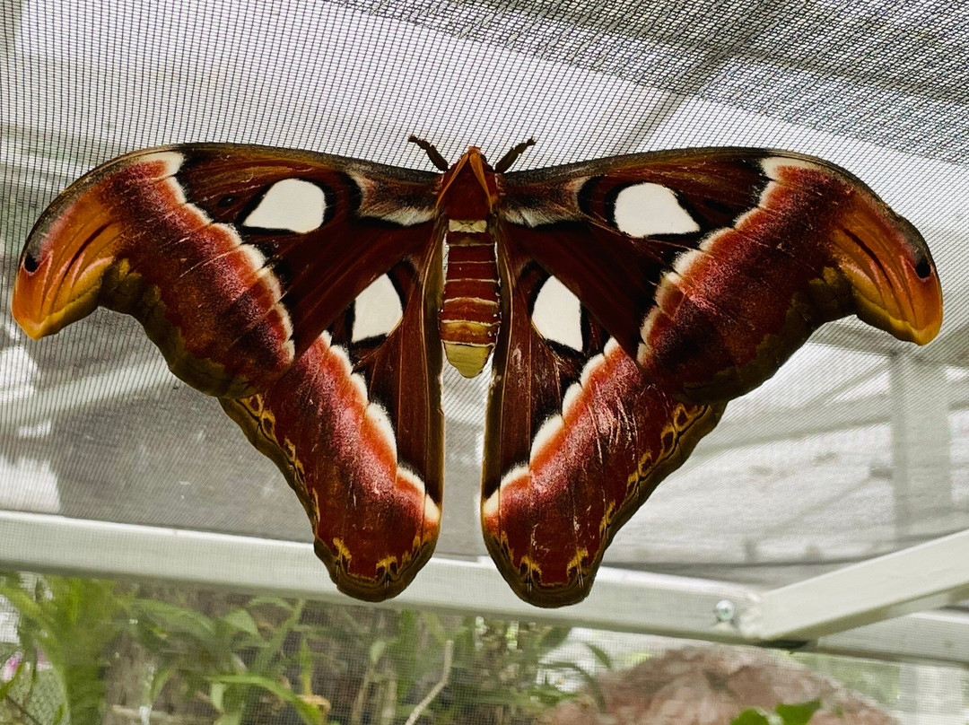 娜娜水疗中心和度假村主图