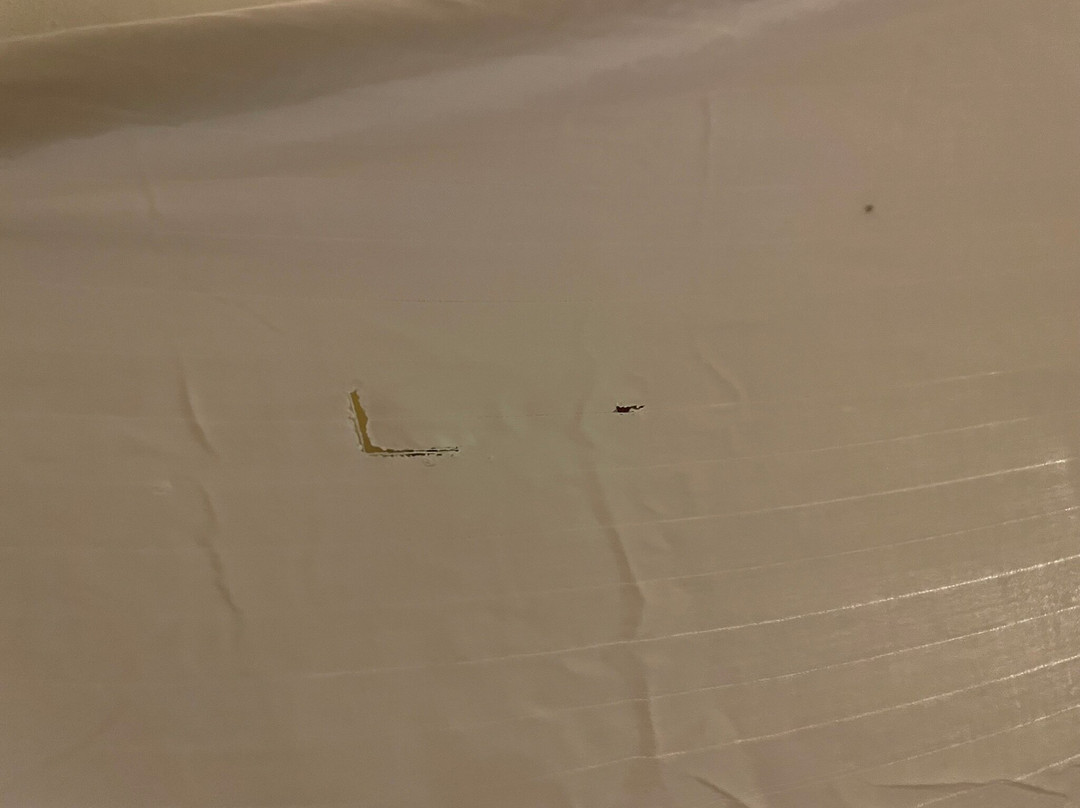 Aviator Hotel & Suites South I-55主图