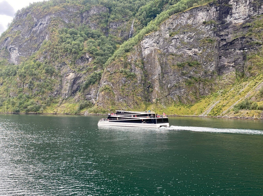 Fjord Cruise Naeroyfjord-弗洛姆必去景点