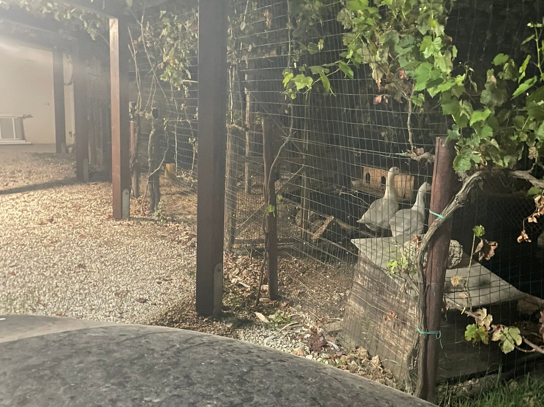 Country House Jamm Ja主图